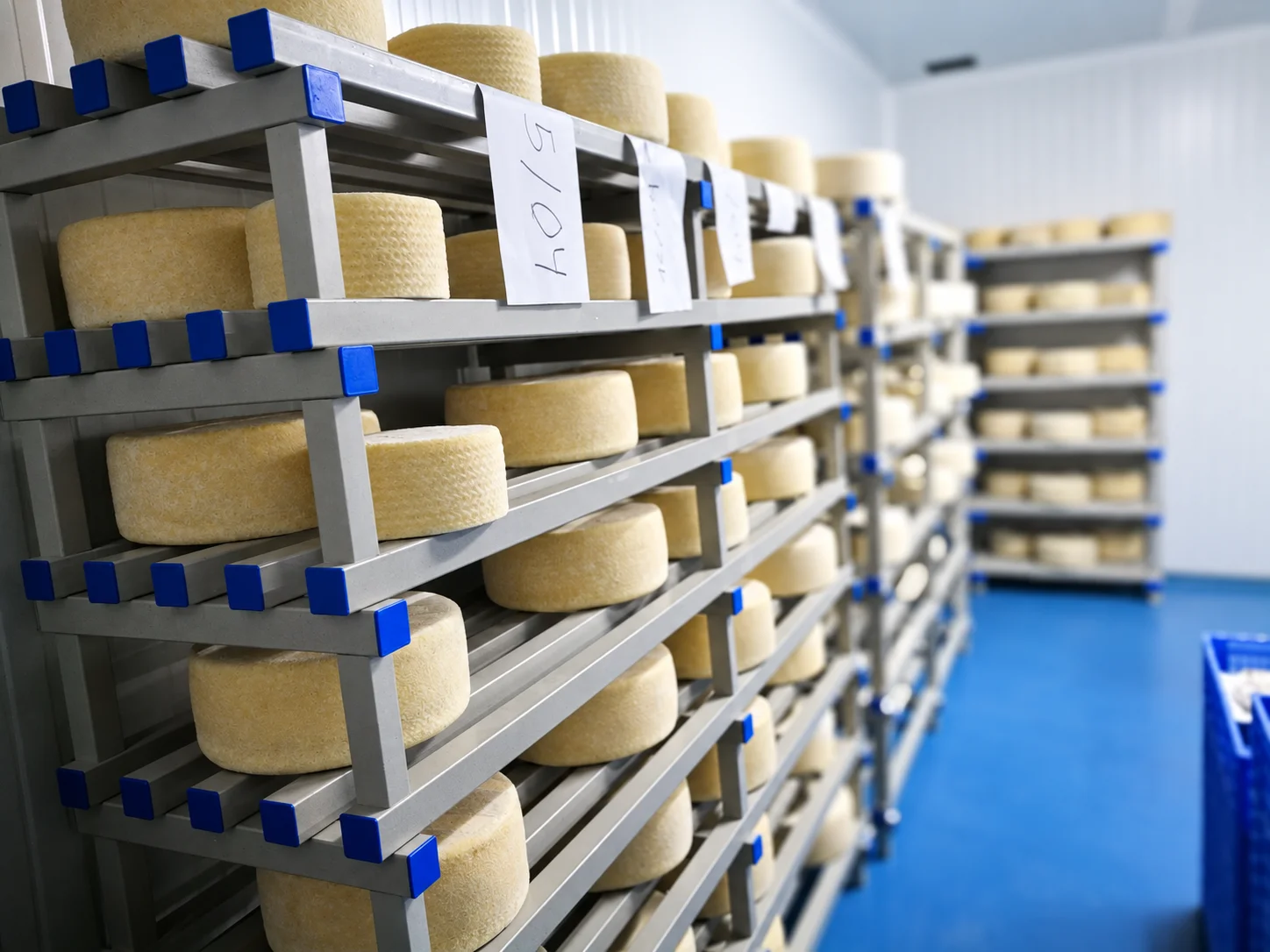 Food processing area equipped with durable, easy-to-clean PVC furniture